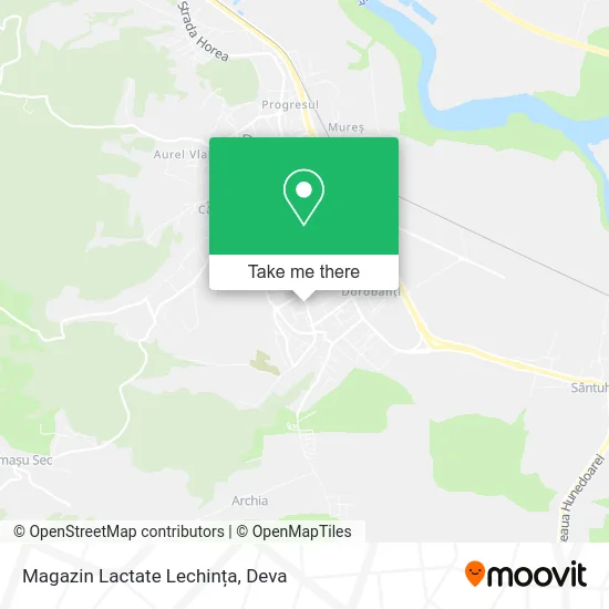 Magazin Lactate Lechința map