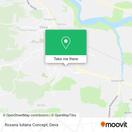 Roxana Iuliana Concept map