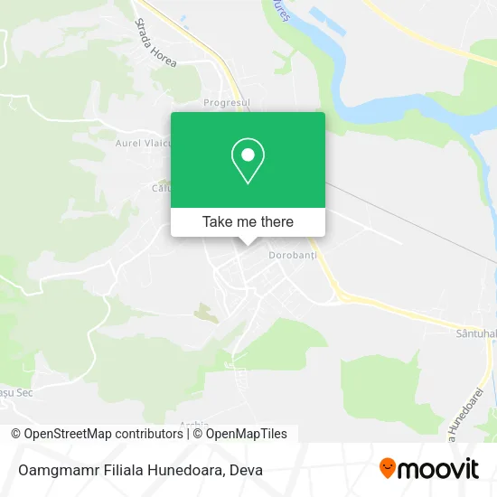 Oamgmamr Filiala Hunedoara map