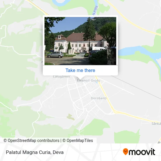 Palatul Magna Curia map