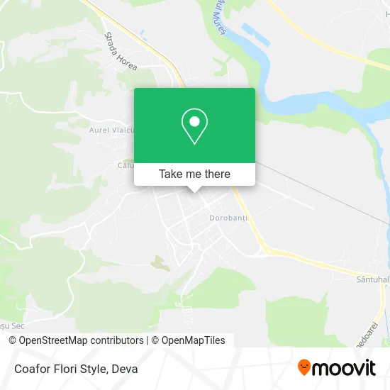 Coafor Flori Style map