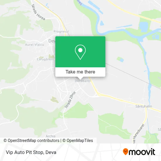 Vip Auto Pit Stop map