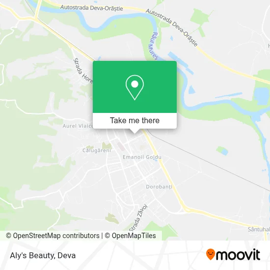 Aly's Beauty map
