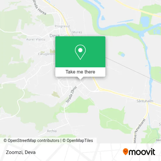 Zoomzi map