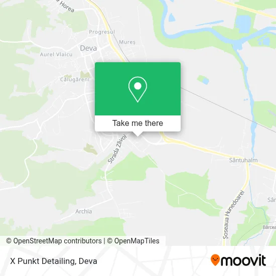 X Punkt Detailing map