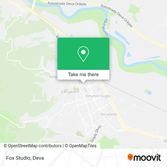 Fox Studio map