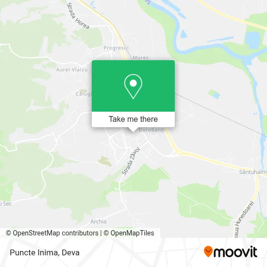 Puncte Inima map