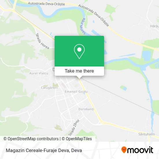 Magazin Cereale-Furaje Deva map