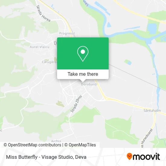 Miss Butterfly - Visage Studio map