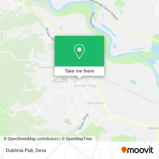 Dublinia Pub map