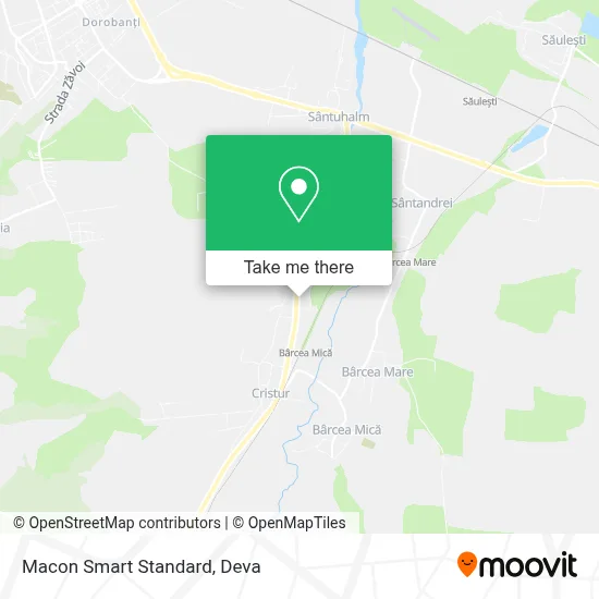 Macon Smart Standard map