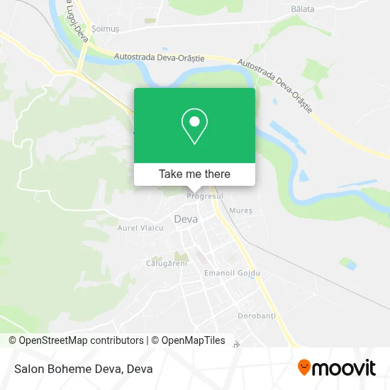 Salon Boheme Deva map