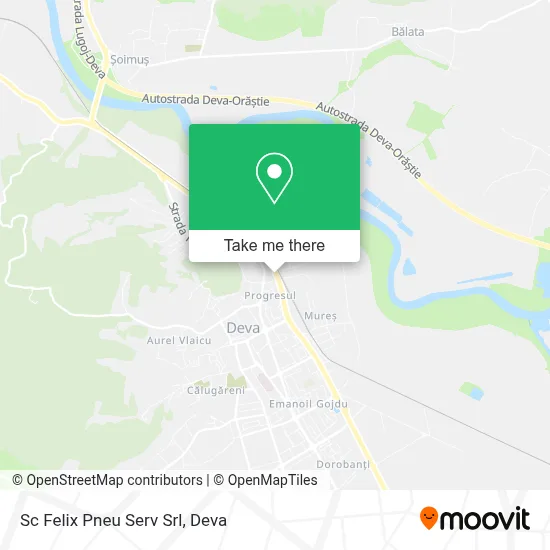 Sc Felix Pneu Serv Srl map