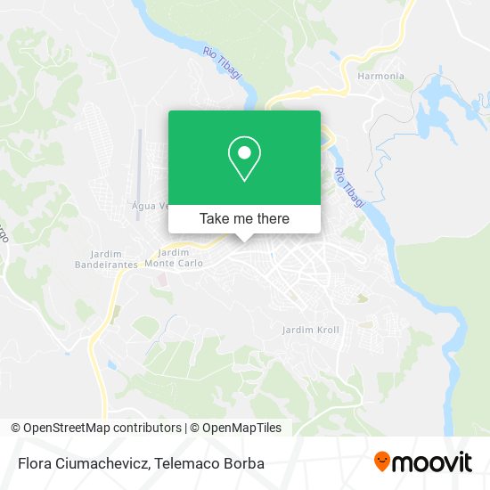 Flora Ciumachevicz map
