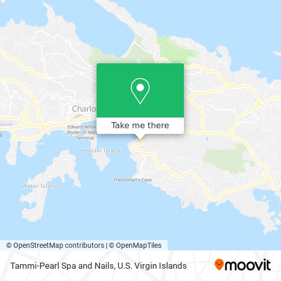 Tammi-Pearl Spa and Nails map