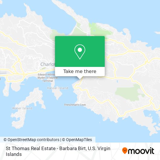 St Thomas Real Estate - Barbara Birt map