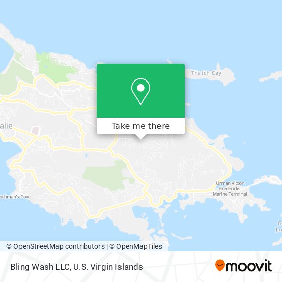 Bling Wash LLC map