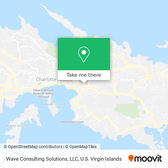 Wave Consulting Solutions, LLC map