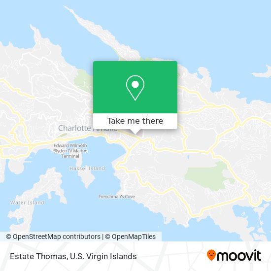 Estate Thomas map