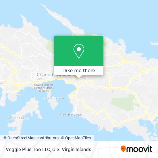 Veggie Plus Too LLC map