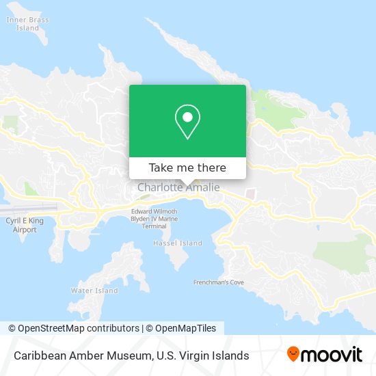 Caribbean Amber Museum map