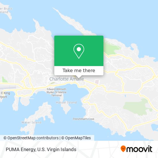 PUMA Energy map