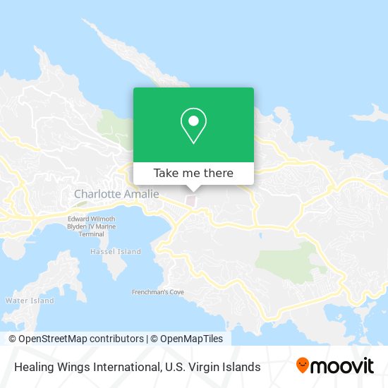 Healing Wings International map