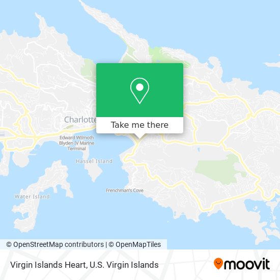 Mapa Virgin Islands Heart