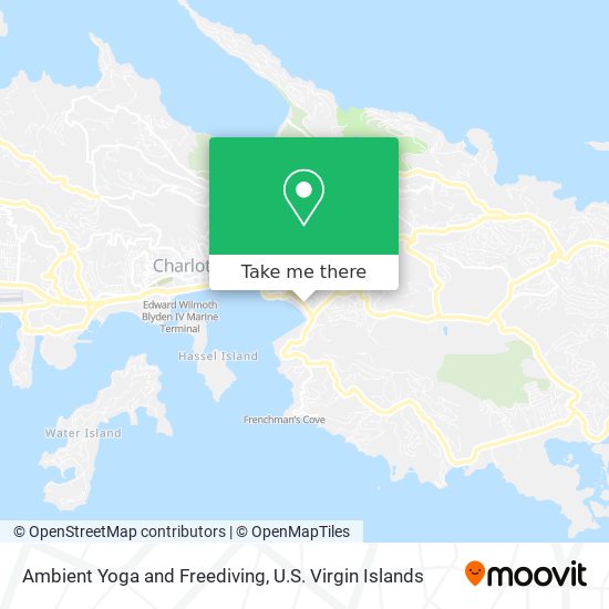 Ambient Yoga and Freediving map