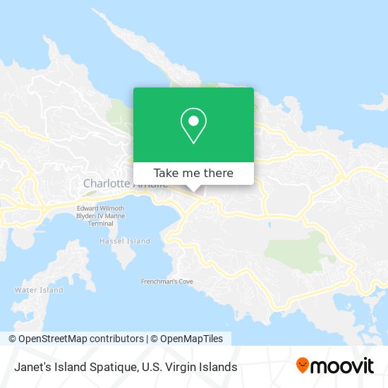 Mapa Janet's Island Spatique