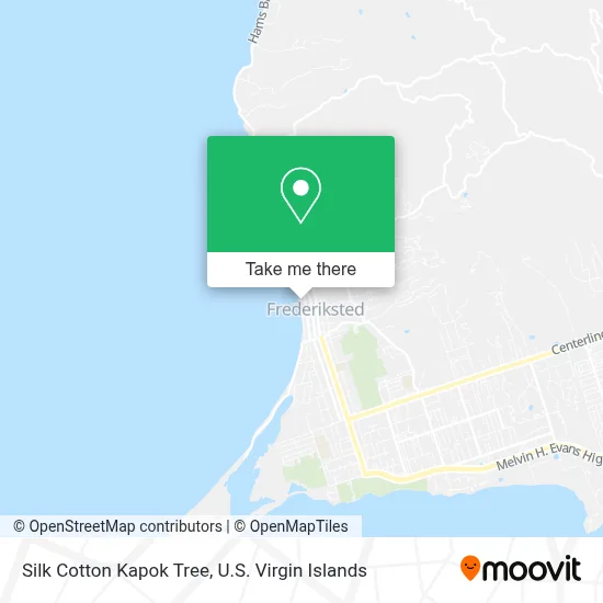 Silk Cotton Kapok Tree map