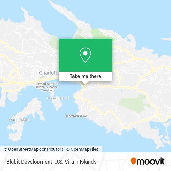 Blubit Development map