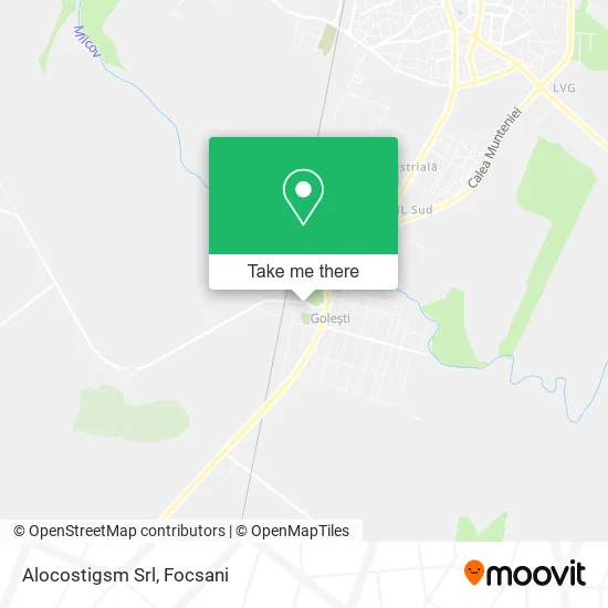 Alocostigsm Srl map