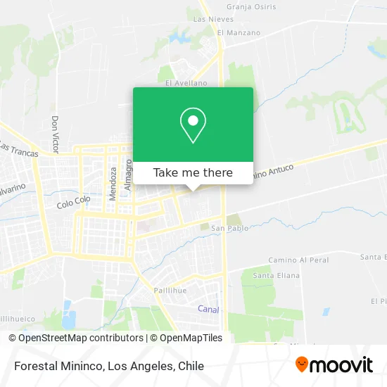 Forestal Mininco map