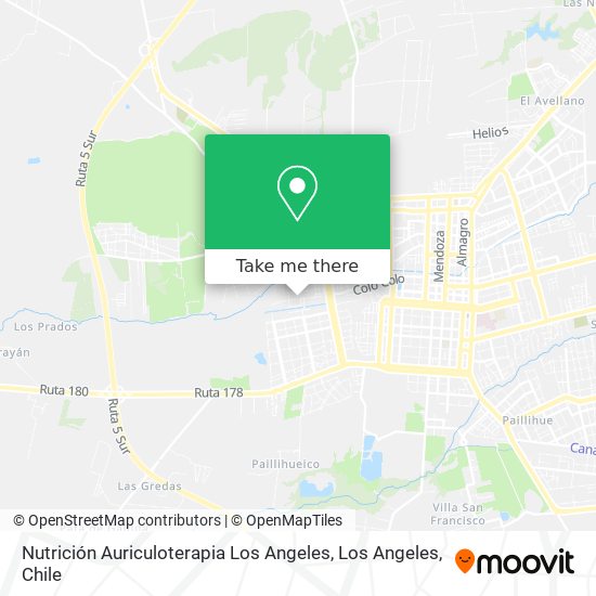 Mapa de Nutrición Auriculoterapia Los Angeles