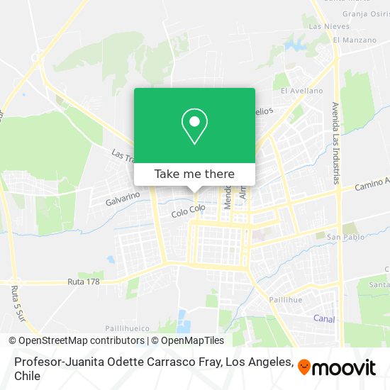 Mapa de Profesor-Juanita Odette Carrasco Fray