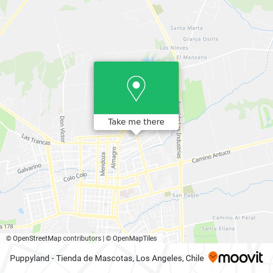 Mapa de Puppyland - Tienda de Mascotas
