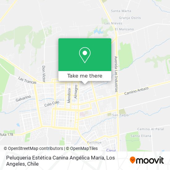 Peluqueria Estética Canina Angélica María map