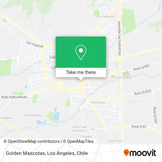 Golden Mascotas map