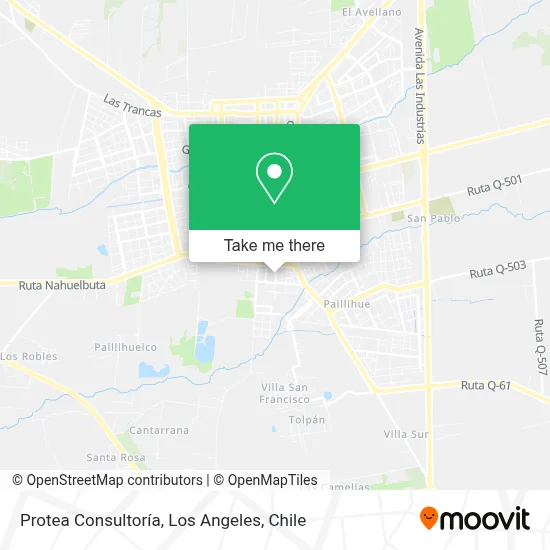 Protea Consultoría map