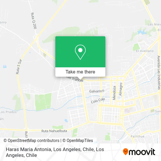 Haras Maria Antonia, Los Angeles, Chile map