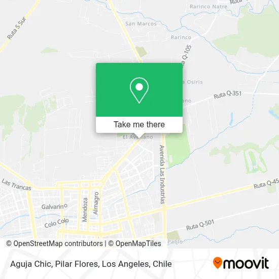 Aguja Chic, Pilar Flores map