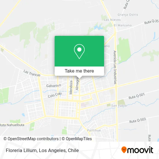 Floreria Lilium map