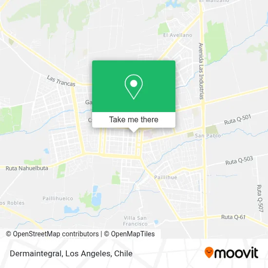 Dermaintegral map