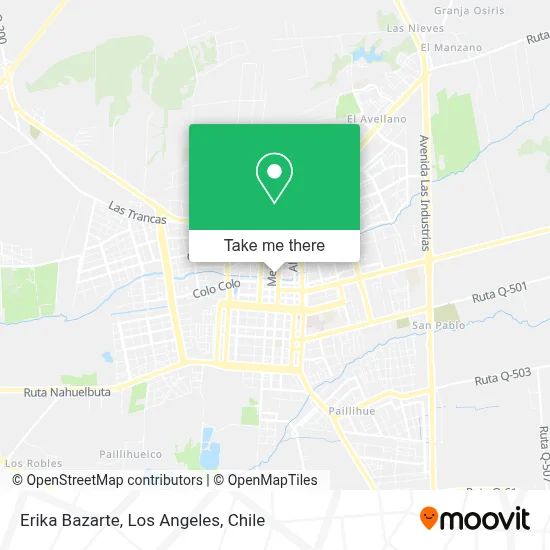 Erika Bazarte map