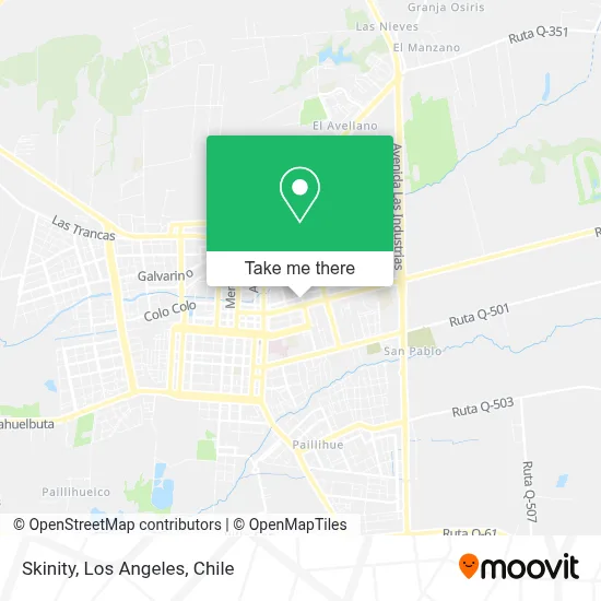 Skinity map