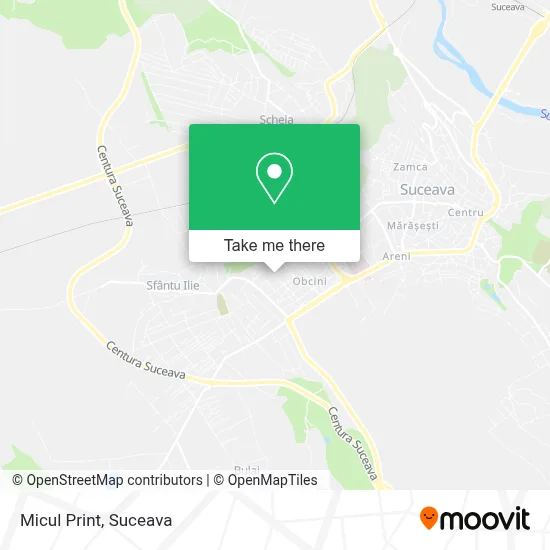 Micul Print map