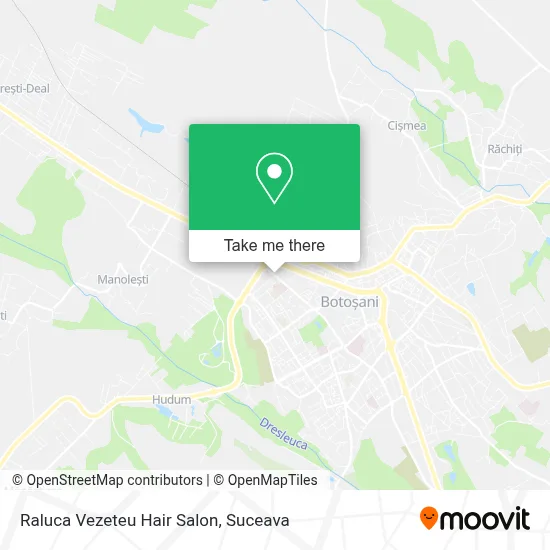 Raluca Vezeteu Hair Salon map