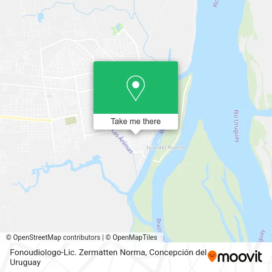 Mapa de Fonoudiologo-Lic. Zermatten Norma