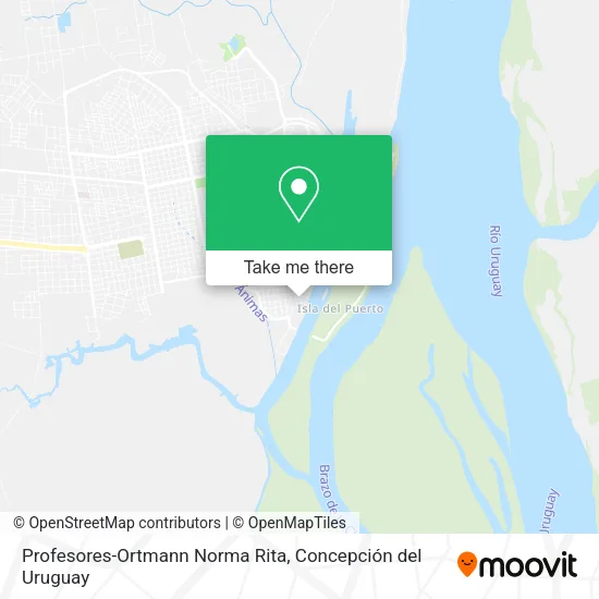 Mapa de Profesores-Ortmann Norma Rita